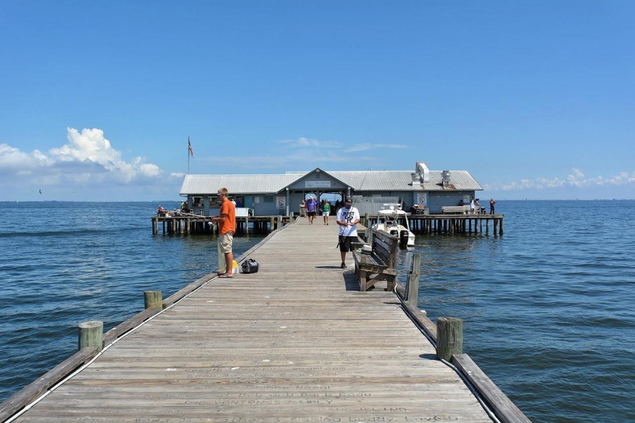 Minnow 1 Anna Maria