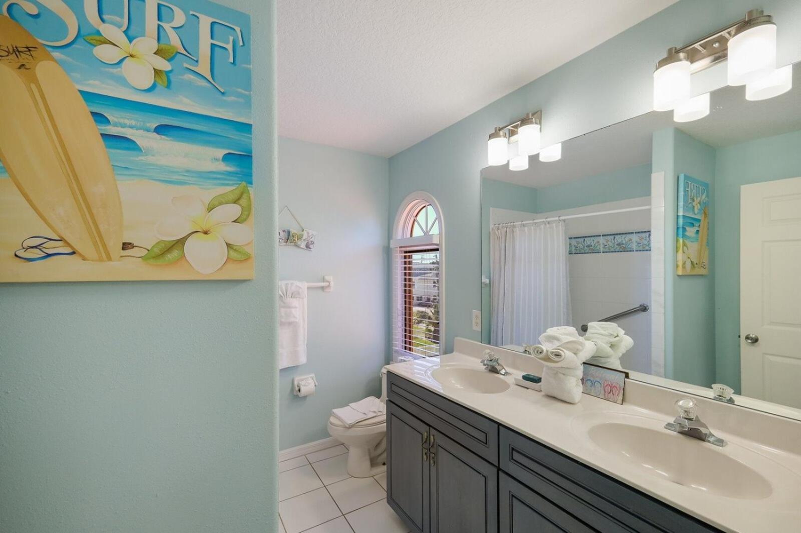 Dolphins Run Anna Maria