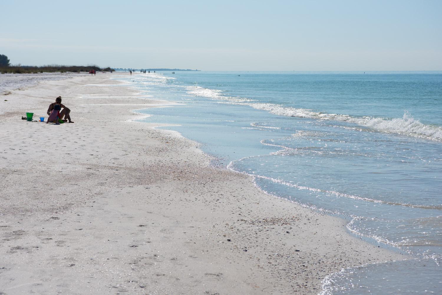 Shells And Sunshine *