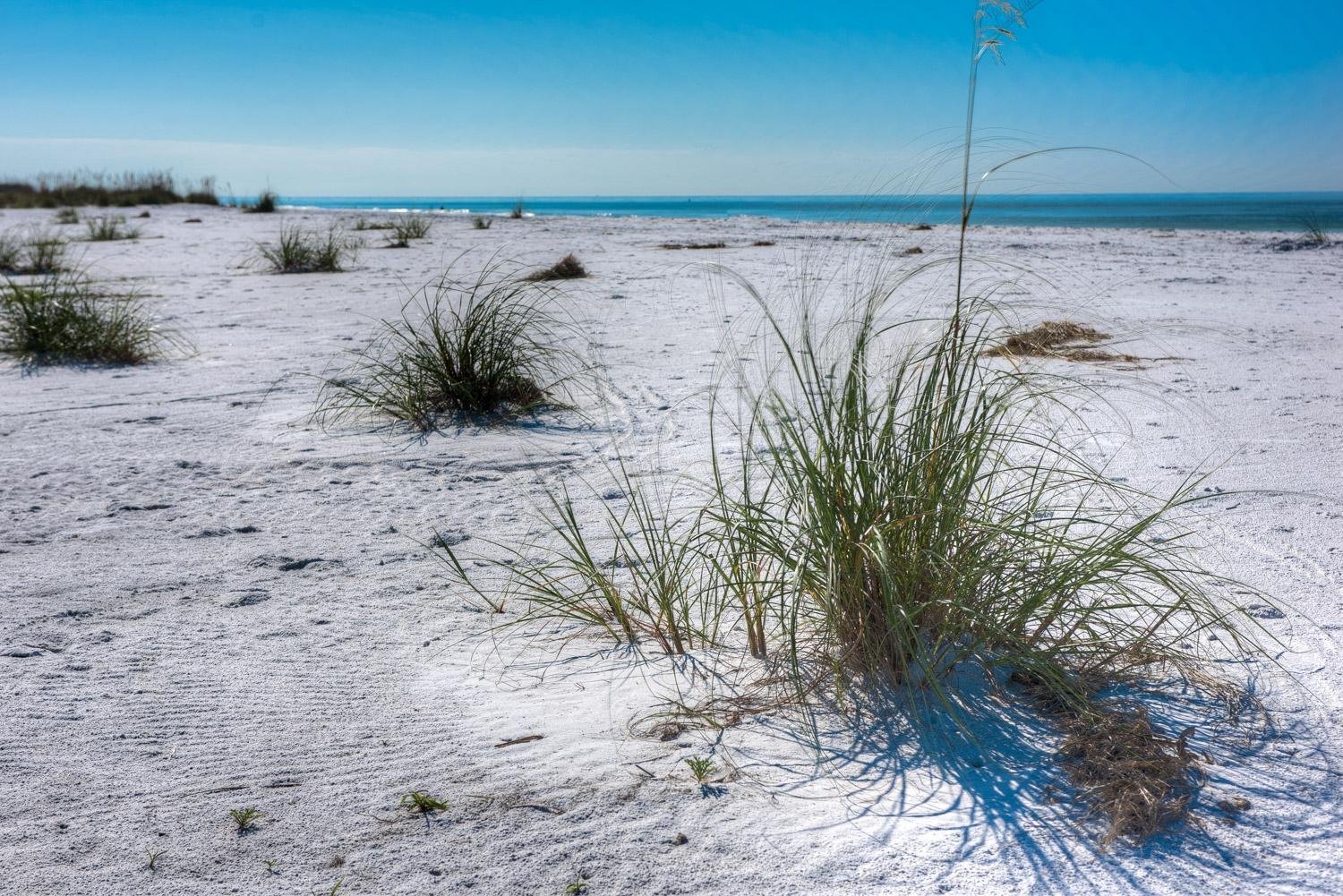 Shells And Sunshine * Anna Maria