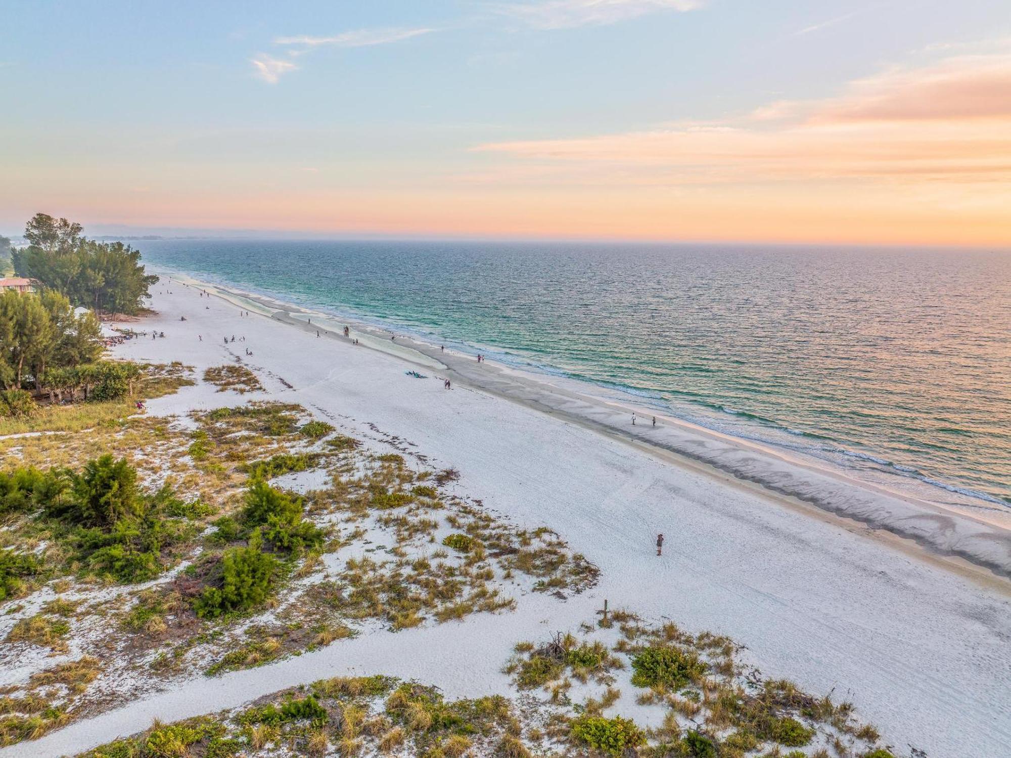 Tide * Anna Maria