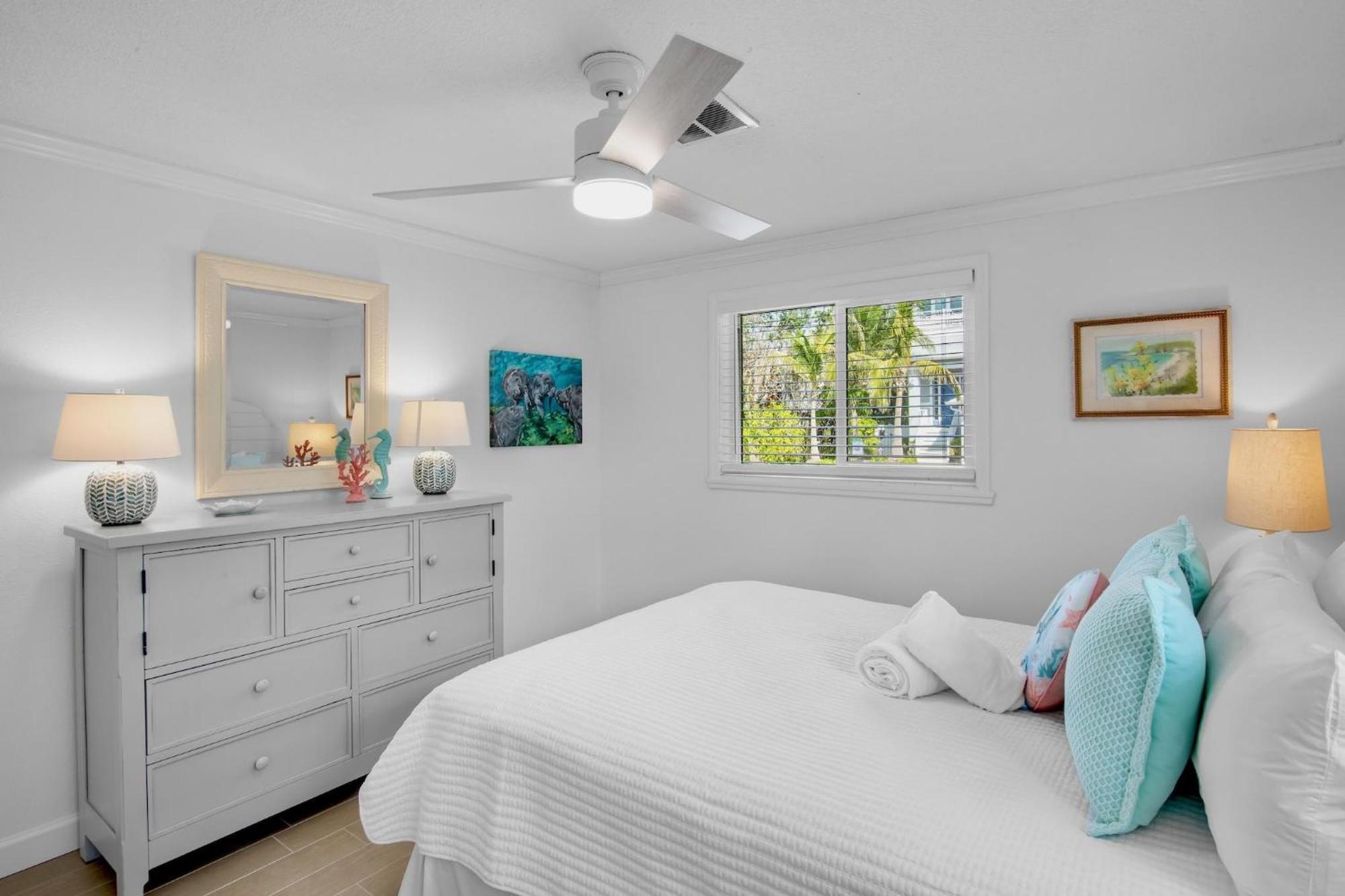 Angelfish Anna Maria