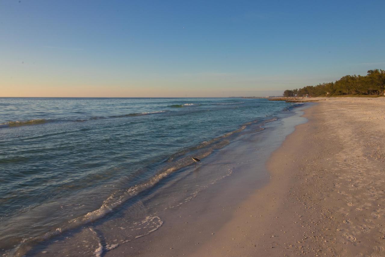 Blue Wave West * Anna Maria